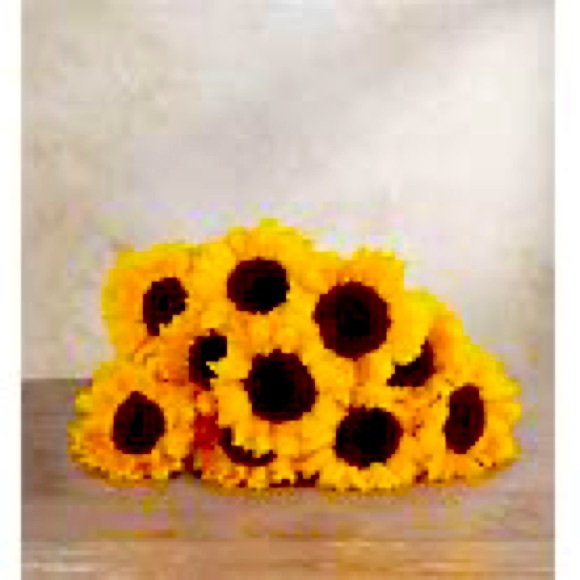 Meet your Posher, Pamela - Picture 1 of 1